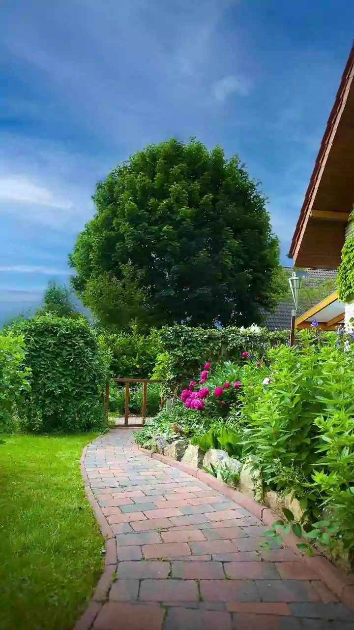 5 Effortless Landscaping Ideas for Your Small Front Yard: Low Maintenance Beauty!