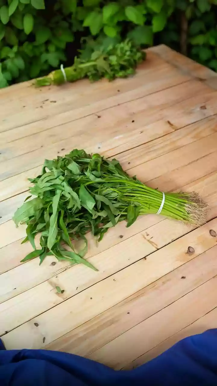 Fresh Homegrown Herbs Are Possible Even On Low-Light Apartment Balconies