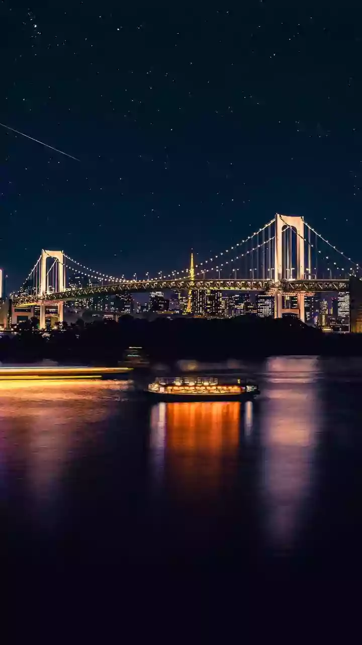 Japan By IRCTC: What Is Included In The ₹3.45 Lakh Triple-Sharing Package