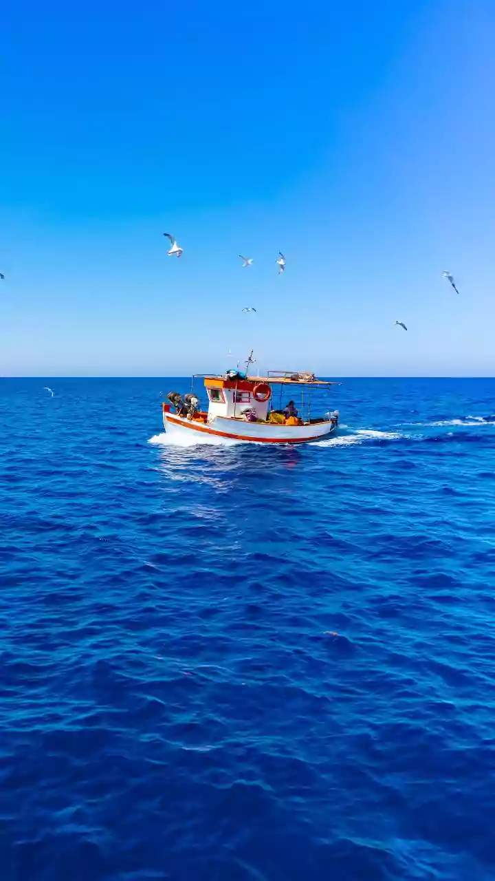 Related Stories banner