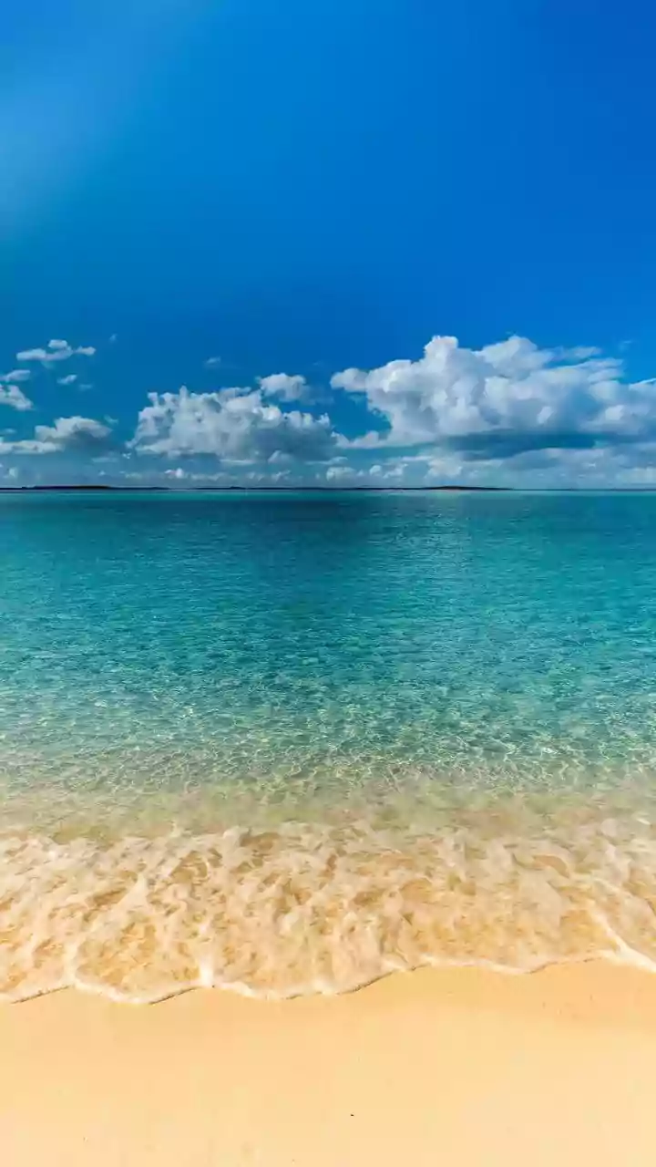 Bonaire: Your Ultimate Guide to Coastal Adventures