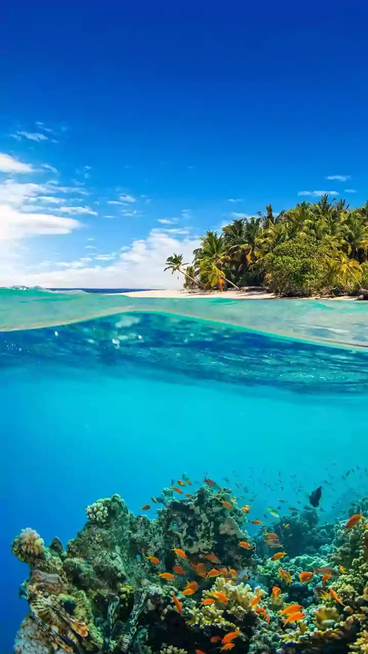 Ticket to Paradise: Unmissable Things to Do on Paradise Island