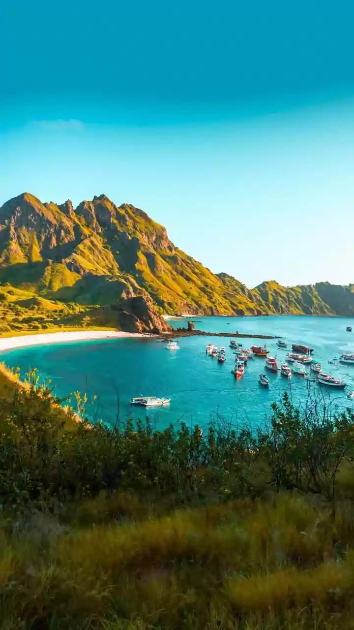 Indonesia Siapkan 'Karpet Merah' Investor Asing di Bali, Pajak Nol Rupiah!
