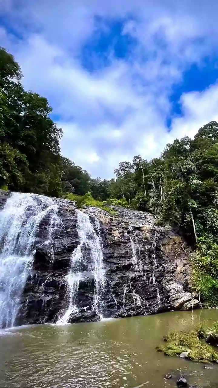 Exploring Karnataka Waterfalls: What Visitors Should Check Regarding Local Leeches And Insects
