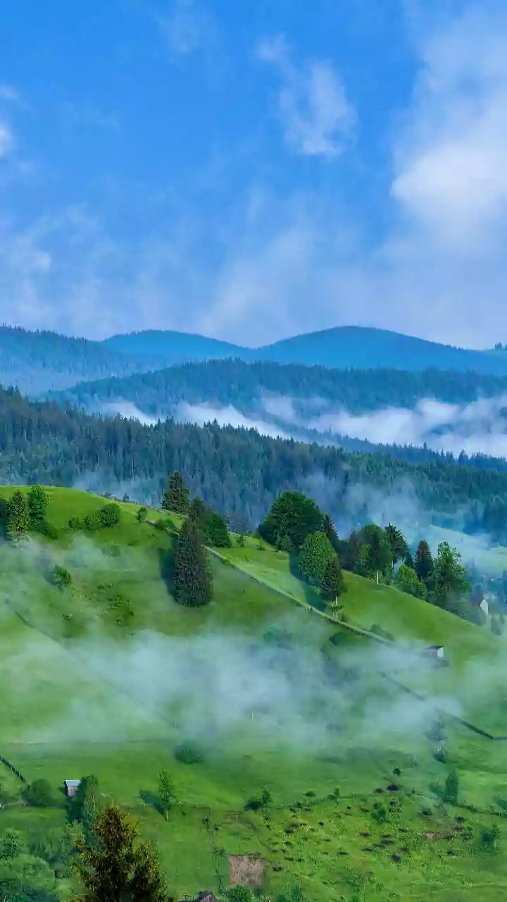 Crisp light vs soft haze – portrait mood changes