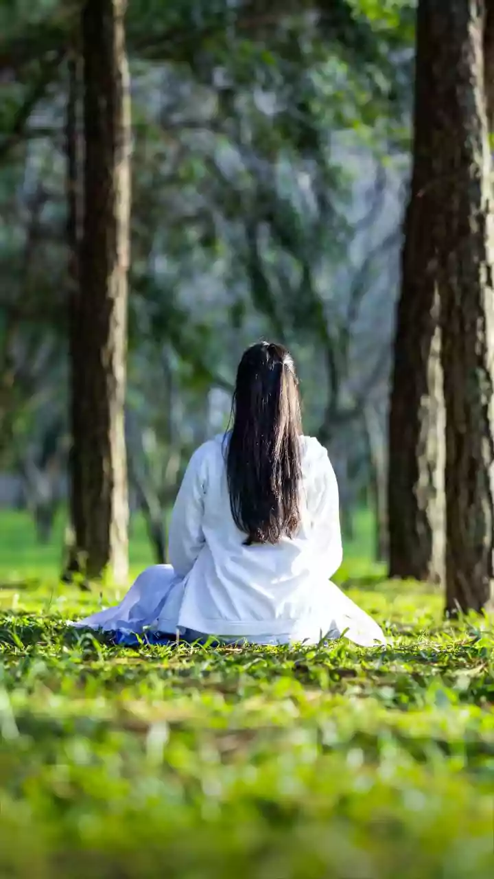 Mindful Breathing Basics How 5 Minutes Daily Clears Heavy Mental Fatigue Fast