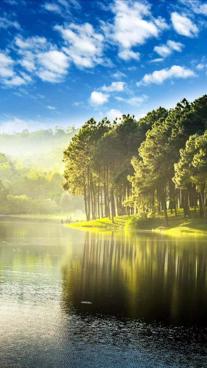 Clear morning, breezy night—see how Friday winds evolve.