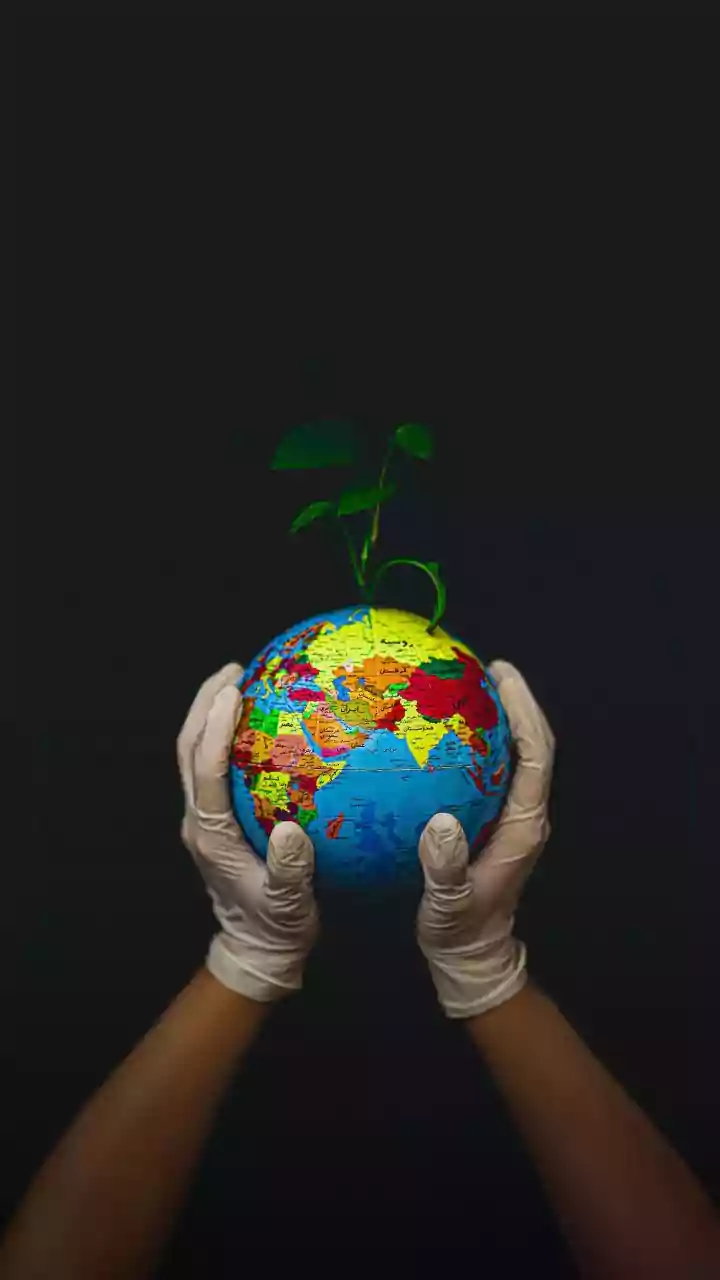 Motilal Oswal's Top 3 Investment Picks: Potential Upsides