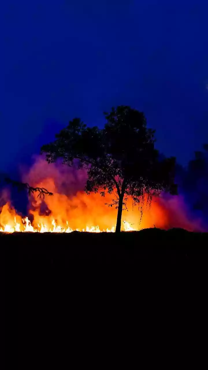 20 Fresh Stubble Burning Cases Reported in Punjab