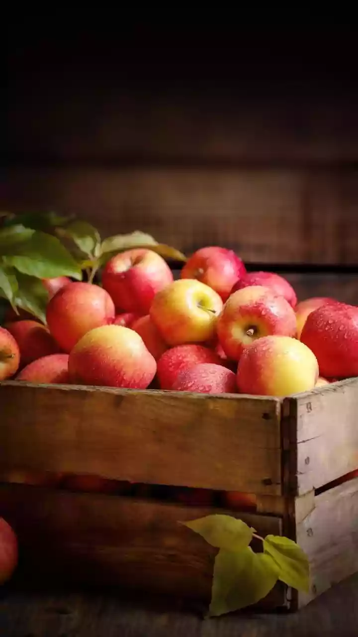 Kashmir Cooperatives Boost Apple Cold Storage Infrastructure To Ensure Seamless Harvest Logistics