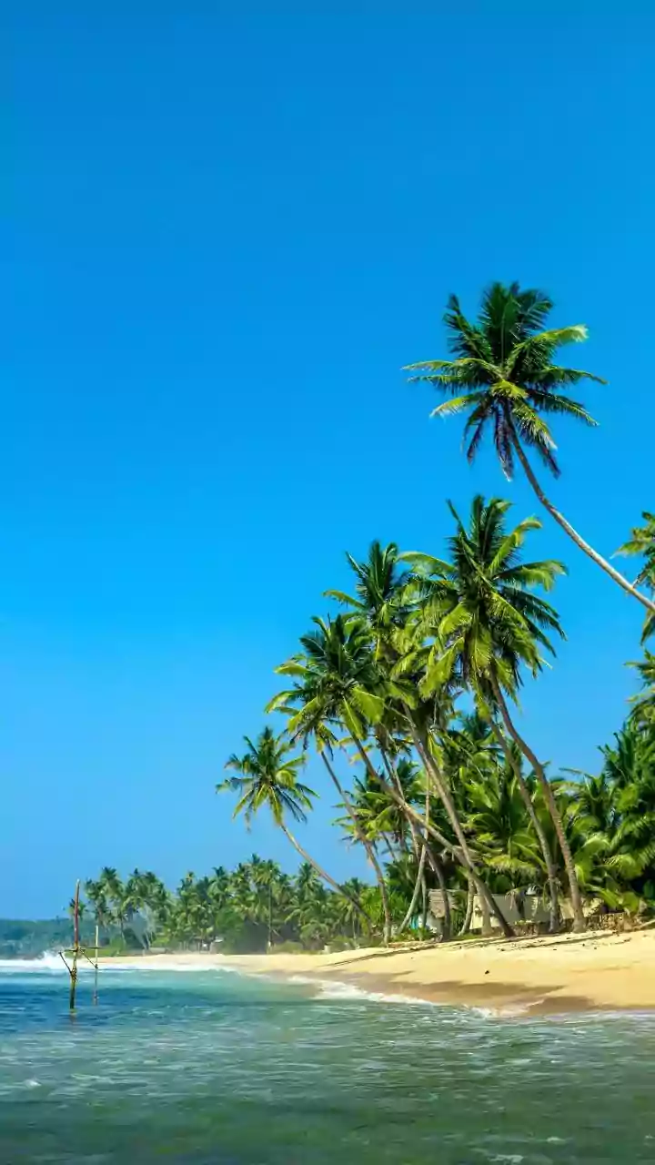 This Budget-Friendly Sri Lanka Trip Is Perfect For Weekends