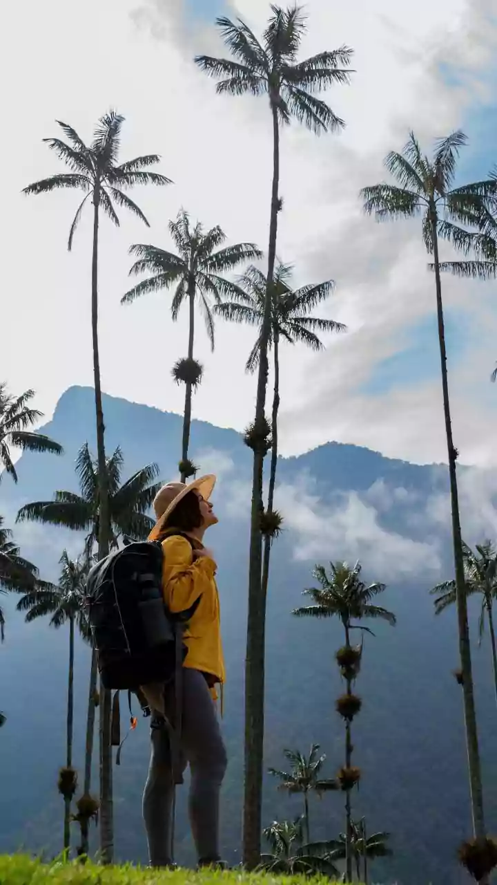 Green Destinations Are Winning Off-Season Holiday Plans