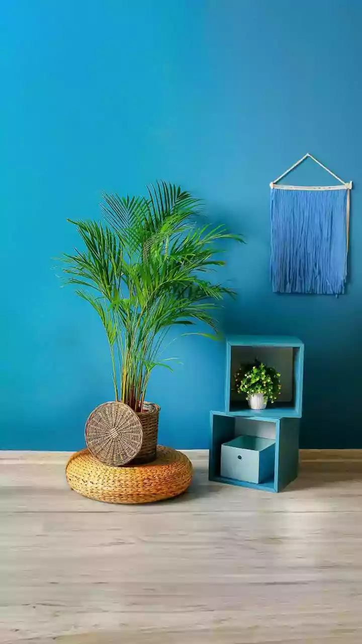 How To Create A Balanced Statement Wall Using Flat Handwoven Decorative Baskets