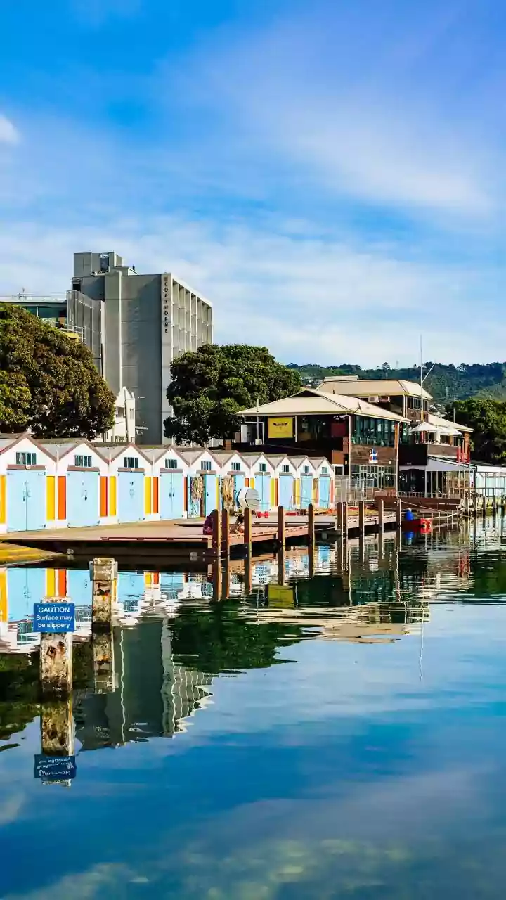 Sausalito: California's Hidden Gem with Italian Riviera Charm Near San Francisco