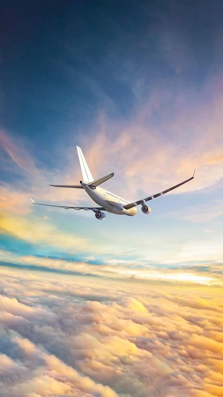 Pakistan’s national airline sold for whopping Rs 135 billion. Who’s behind the bid?