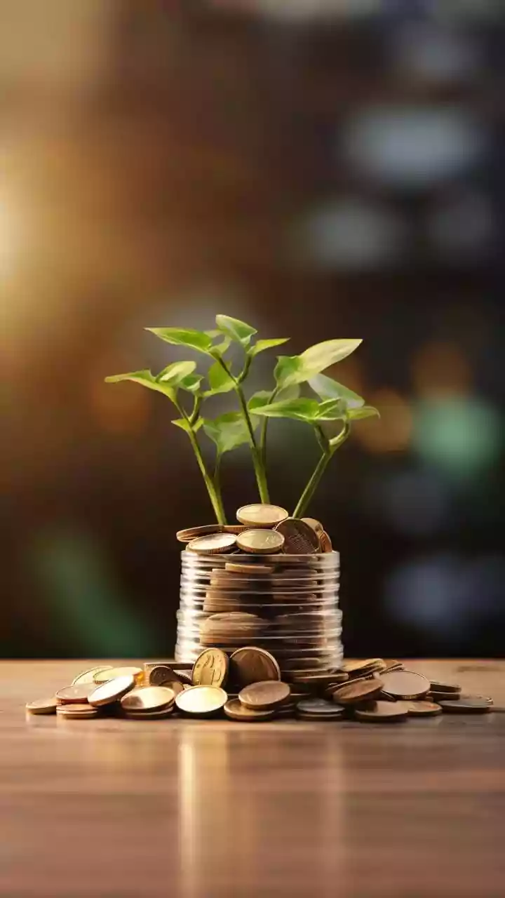 DCB Bank Q3 net profit jumps 22 pc to Rs 185 cr