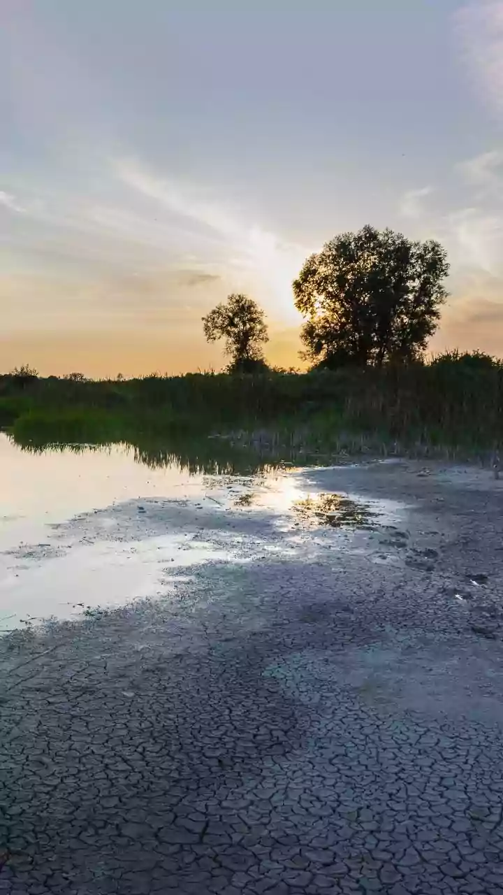 Wildlife Sanctuaries Add A Conservation-Led Route Through Europe With Donana Wetlands