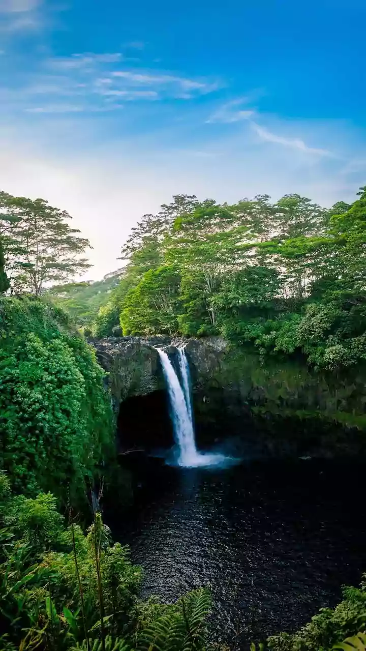 Rainy Season Tourism Grows As Maharashtra Waterfalls Turn Lush And Scenic