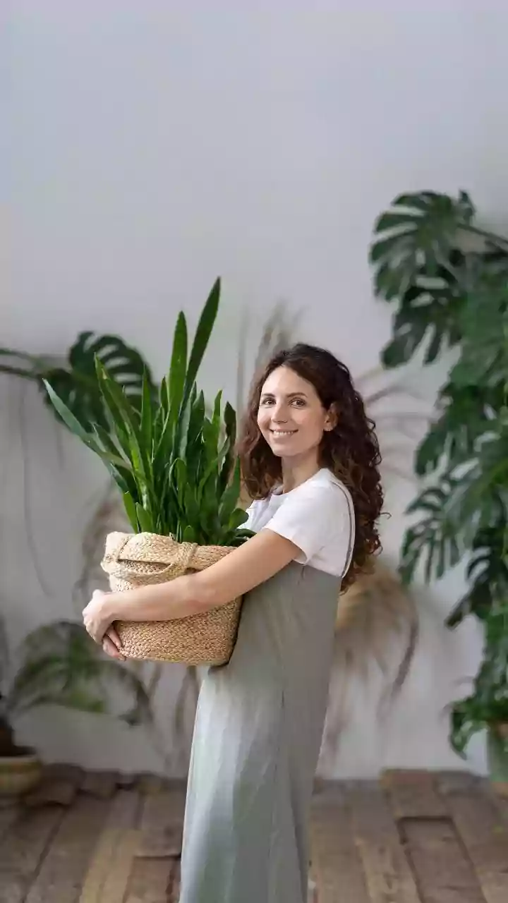 Why Snake Plants are almost impossible to kill, making them top low-maintenance indoor bedroom plants