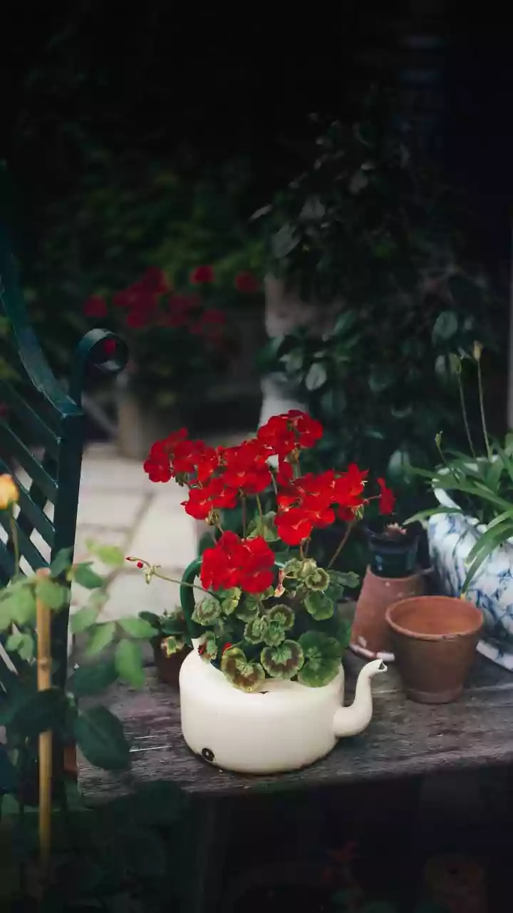 Score Stylish Outdoor Decor: 5 Thriftable Finds Designers Swear By