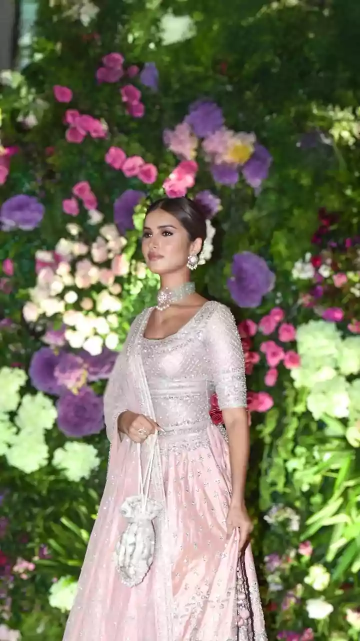 Have Tara Sutaria and Veer Pahariya broken up?