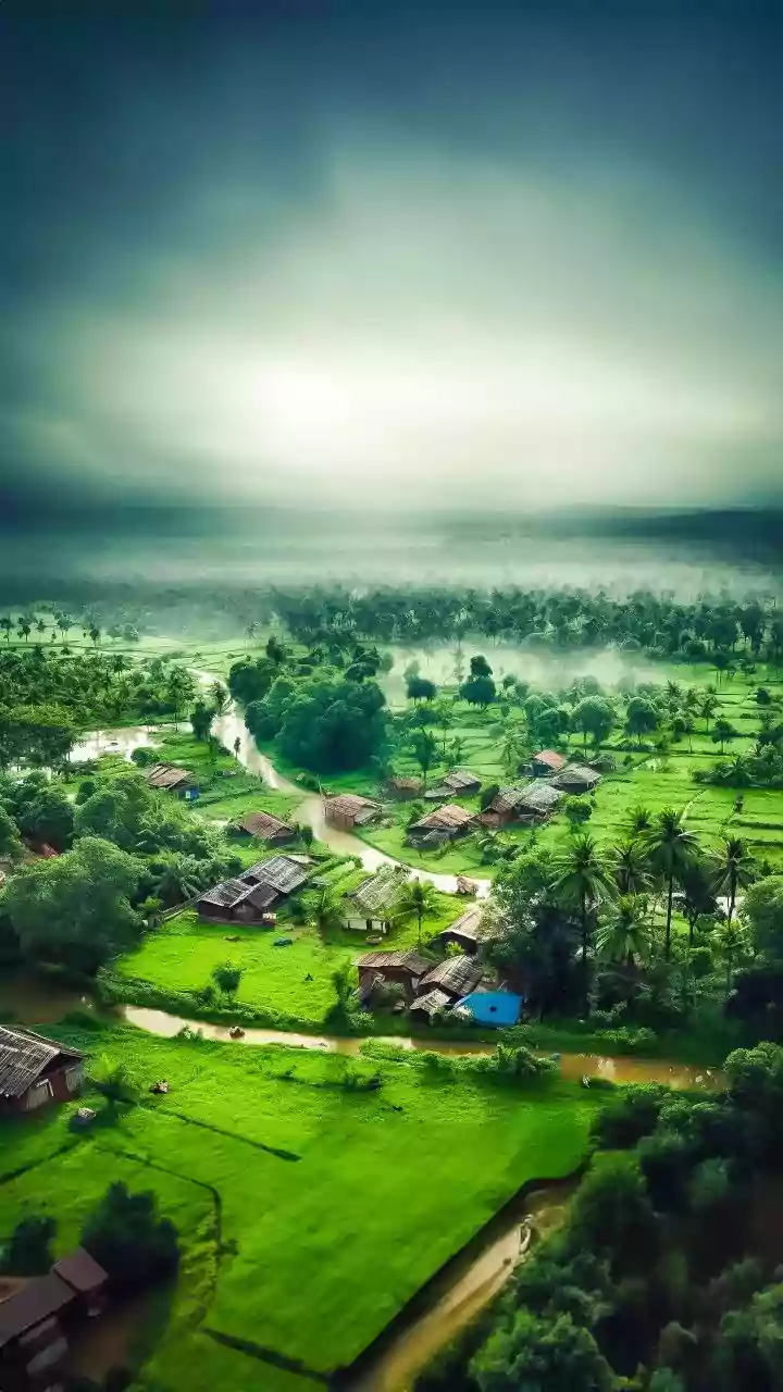 IMD’s Wayanad alert—intense rain and wind may affect hilly travel and outdoor activity today.