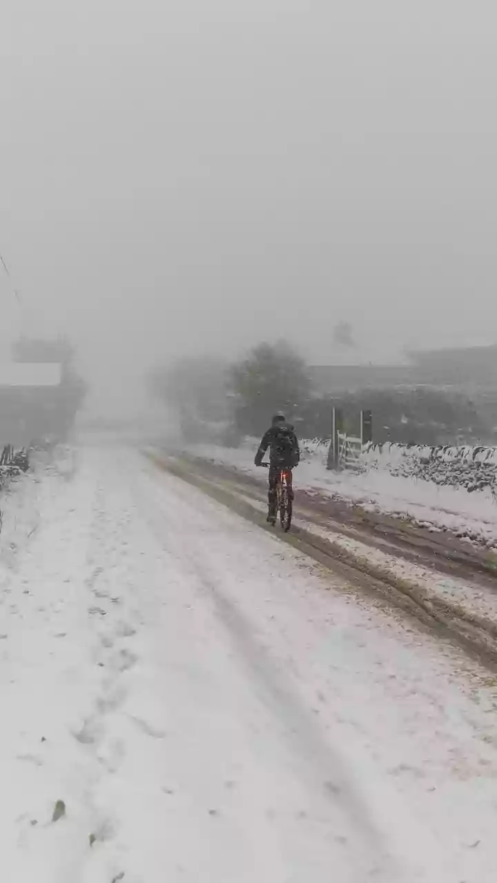 Cold weather conditions prevail in parts of Punjab, Haryana; rain likely in coming days