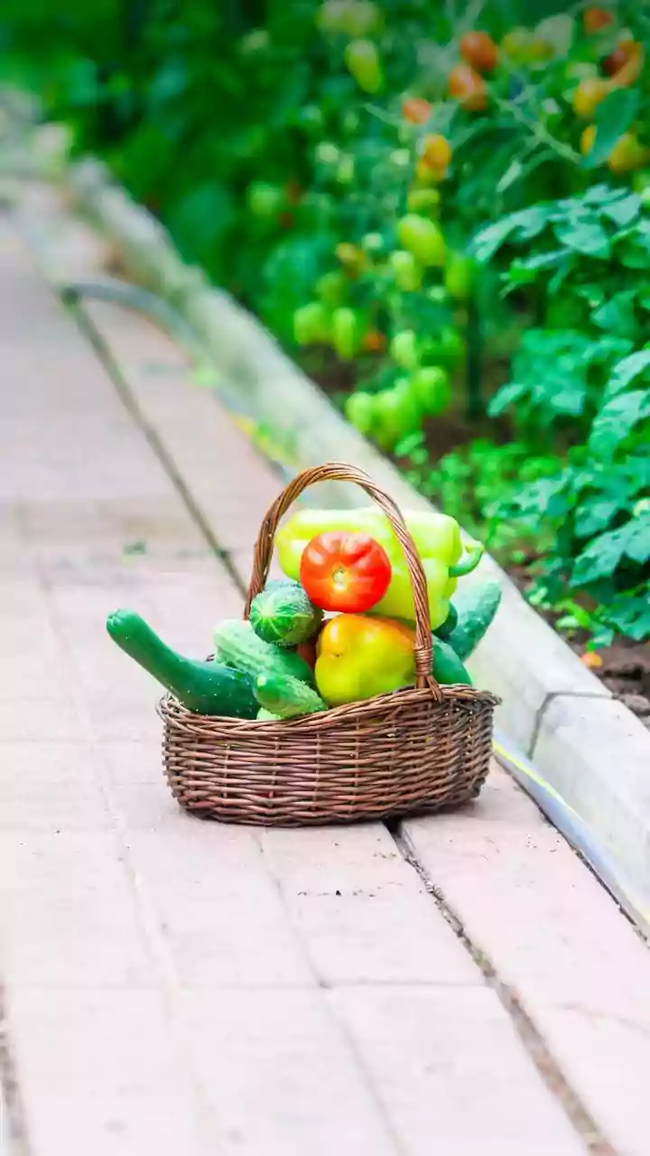 Diabetes: The Silent Threat & Lifestyle Changes