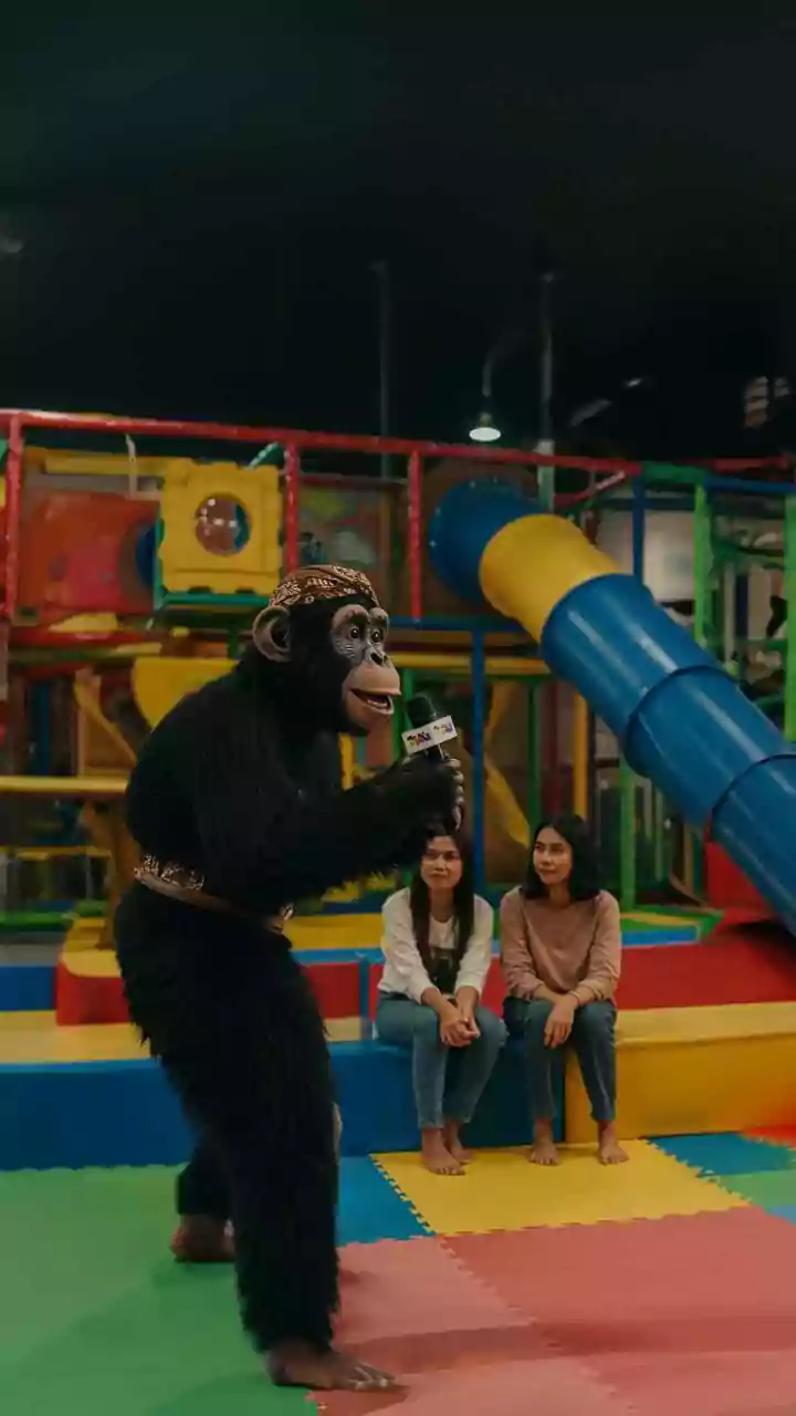 Smartest Animals: A Glimpse into the Top 9