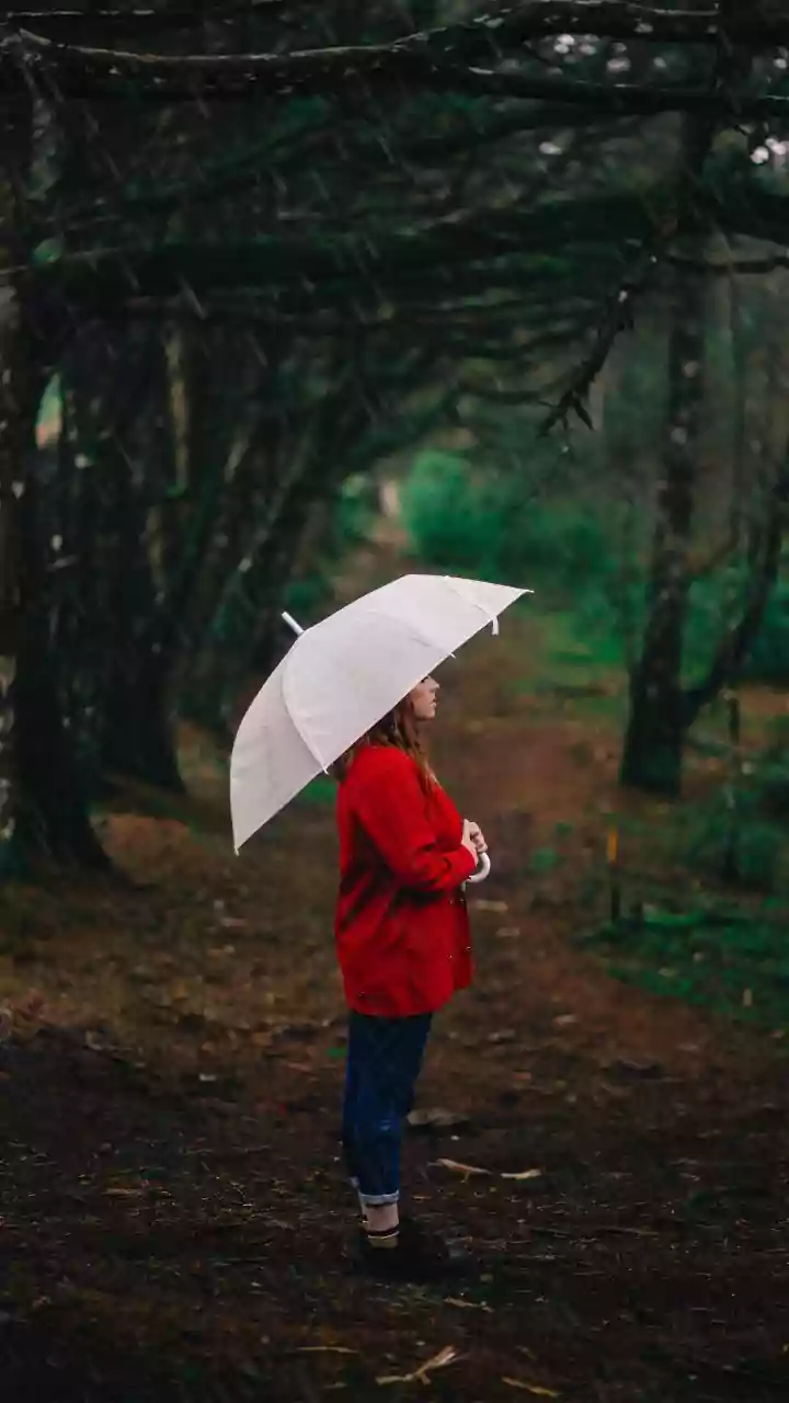 Beat Rainy-Day Distractions With These Practical Focus Tips