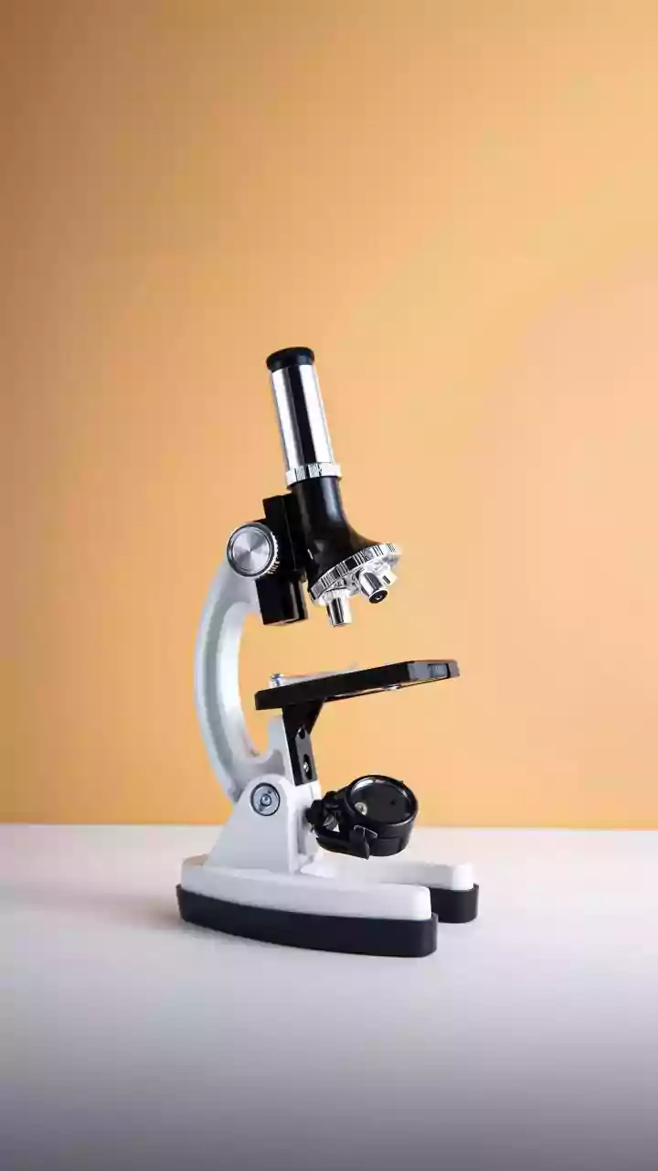 Unmasking Haemophilia in Women: Beyond the Carrier Myth for Indian Women