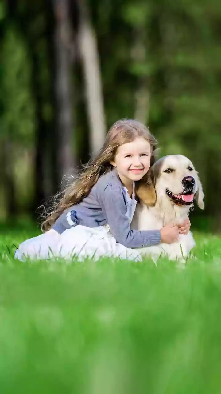 Why Golden Retrievers Are the Perfect Canine Companions for Children