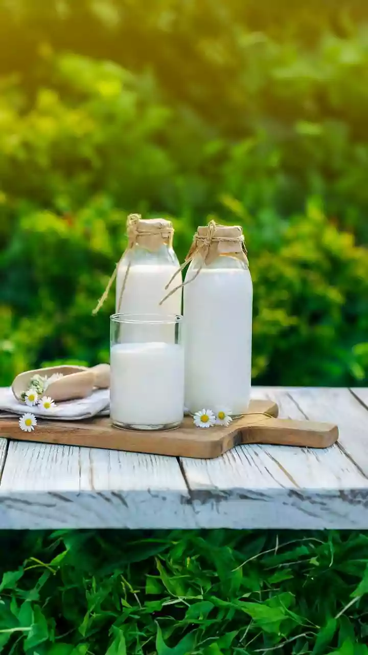 Dairy Dilemma: Why Milk, Paneer, Ghee & Curd Prices Are Rising in India