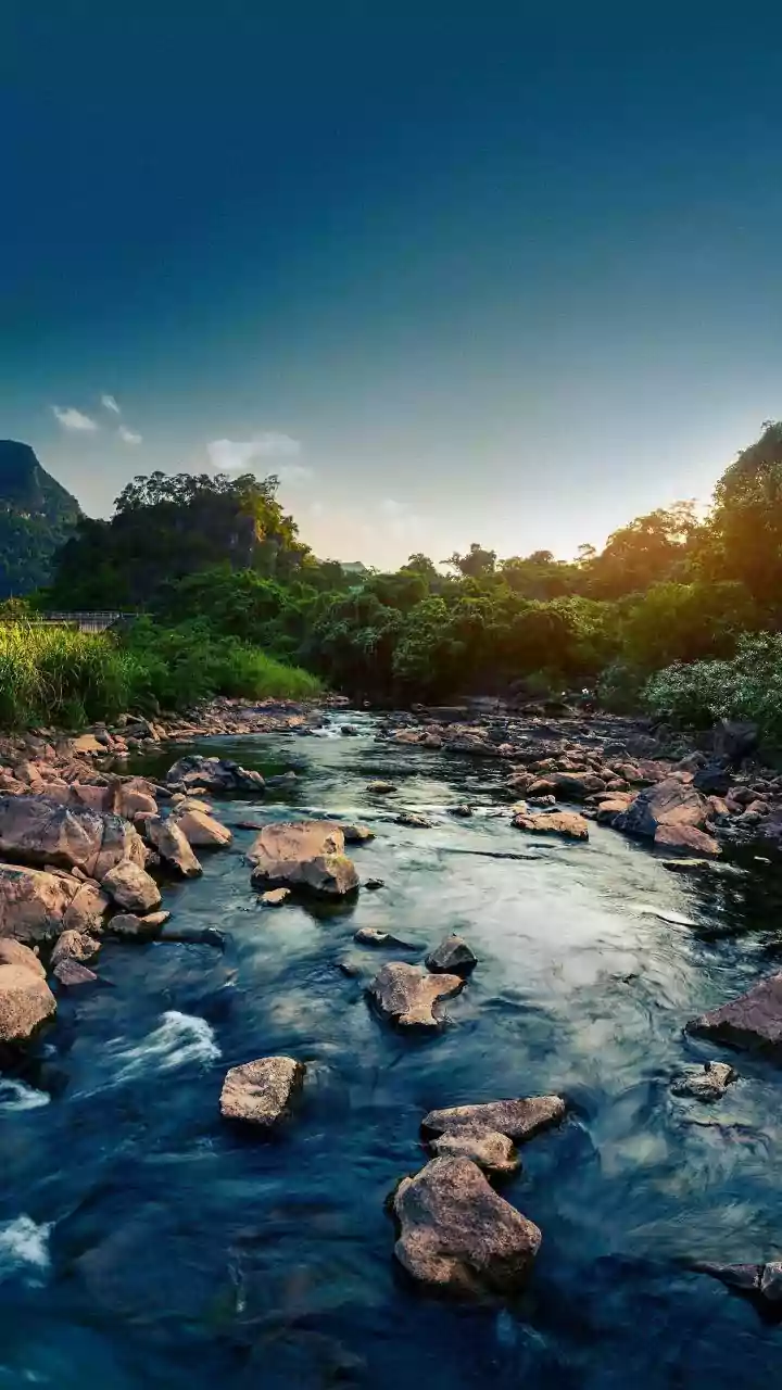 India's Hidden Gems: 10 Remarkable Short Rivers You Need to Know