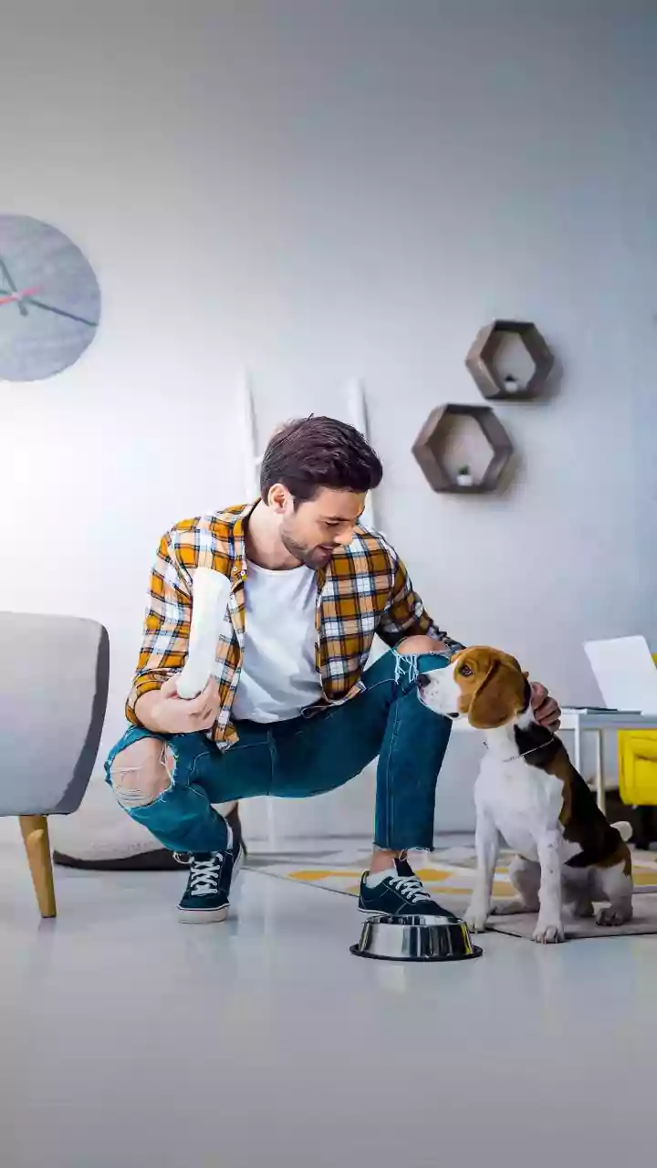 Never Worry About Your Furry Friends With Smart Camera Feeders