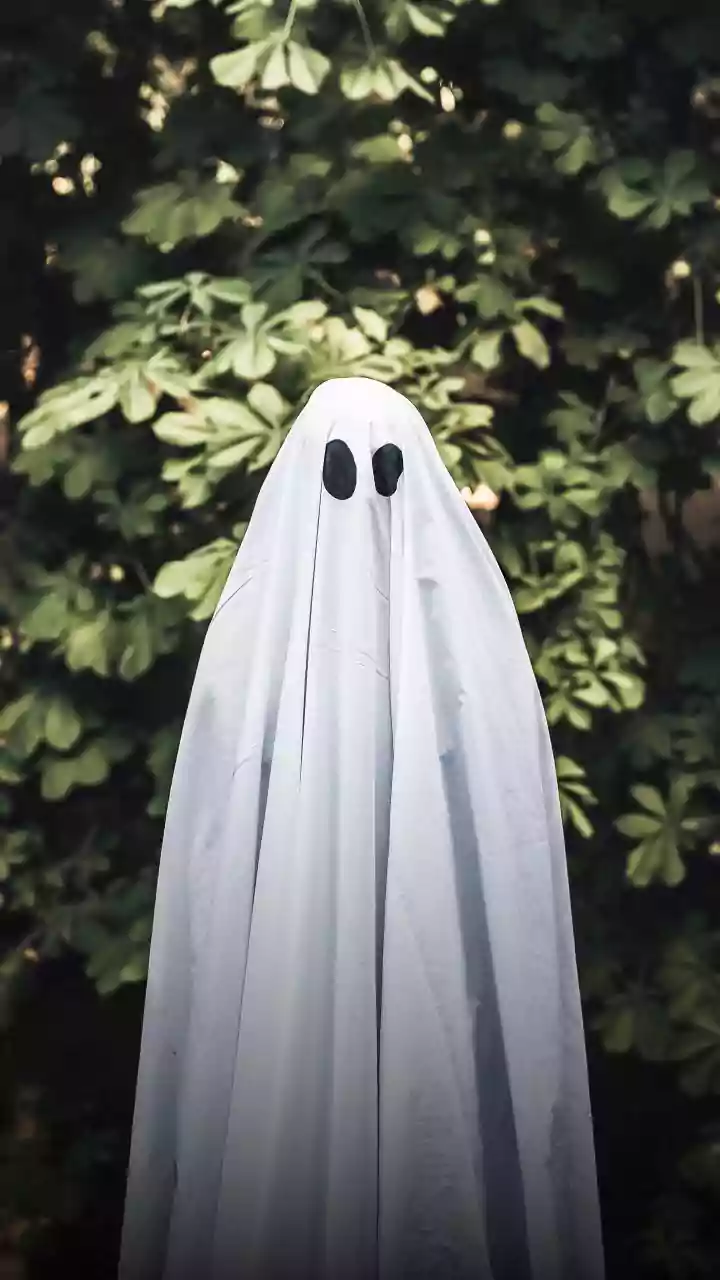 Sarah Winchester construiu uma casa para fugir dos fantasmas