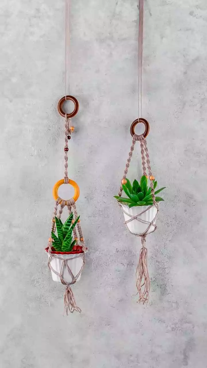 A Hanging Shell Planter Requires Secure Cord and Balanced Weight