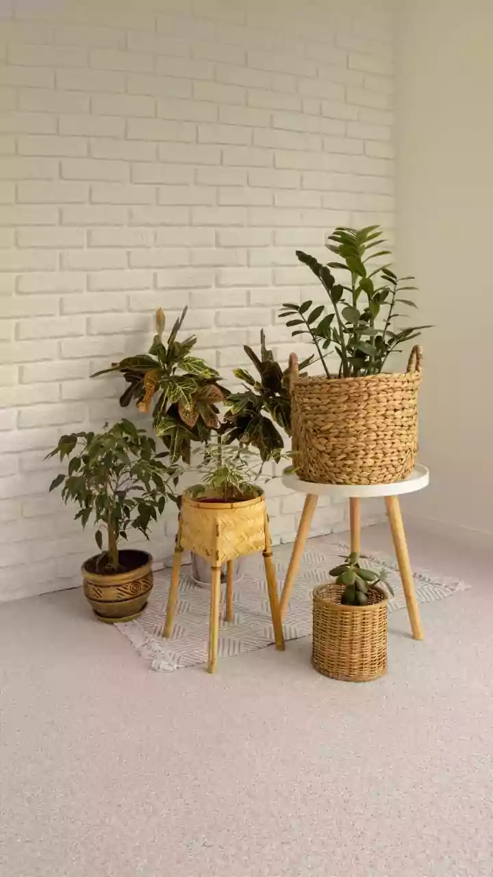 The Role of Using Leftover Space More Deliberately in the Awkward-Corner Design Trend