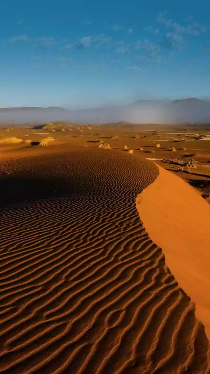 Asia’s First Desert-Themed Night Safari Is Coming To Gujarat At This Zoological Park