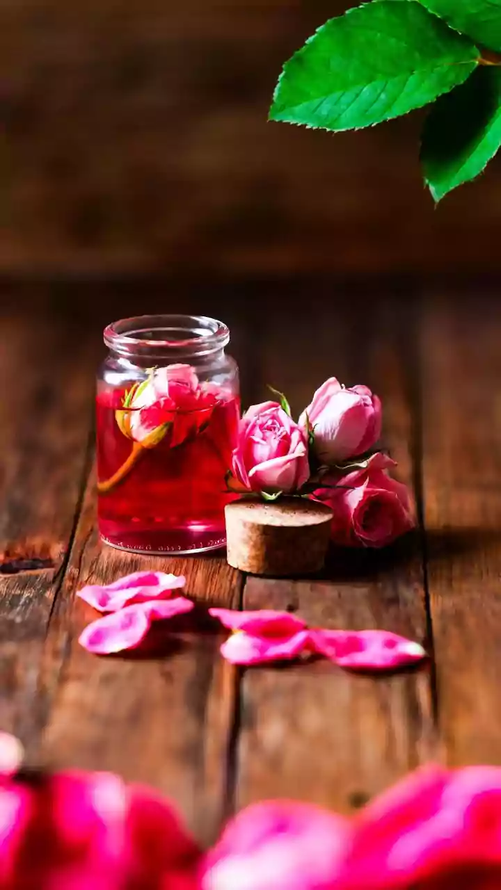 Valentine's Week 2026: Romantic Celebrations!