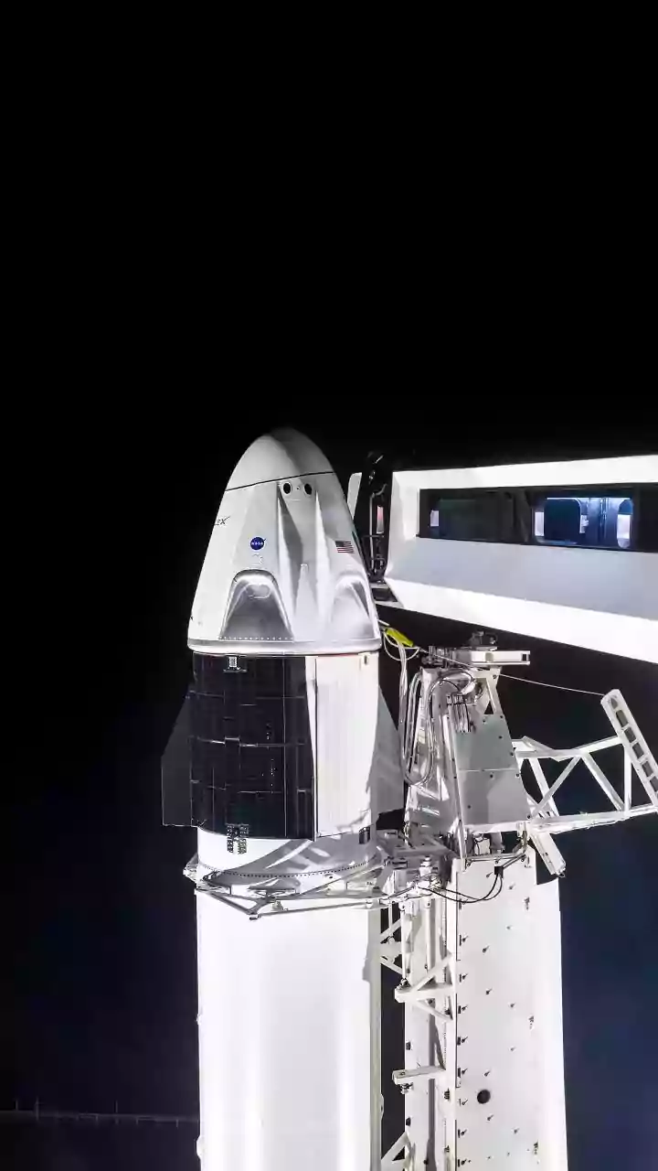 Environmental Questions Will Follow SpaceX's $100 Billion Louisiana Spaceport