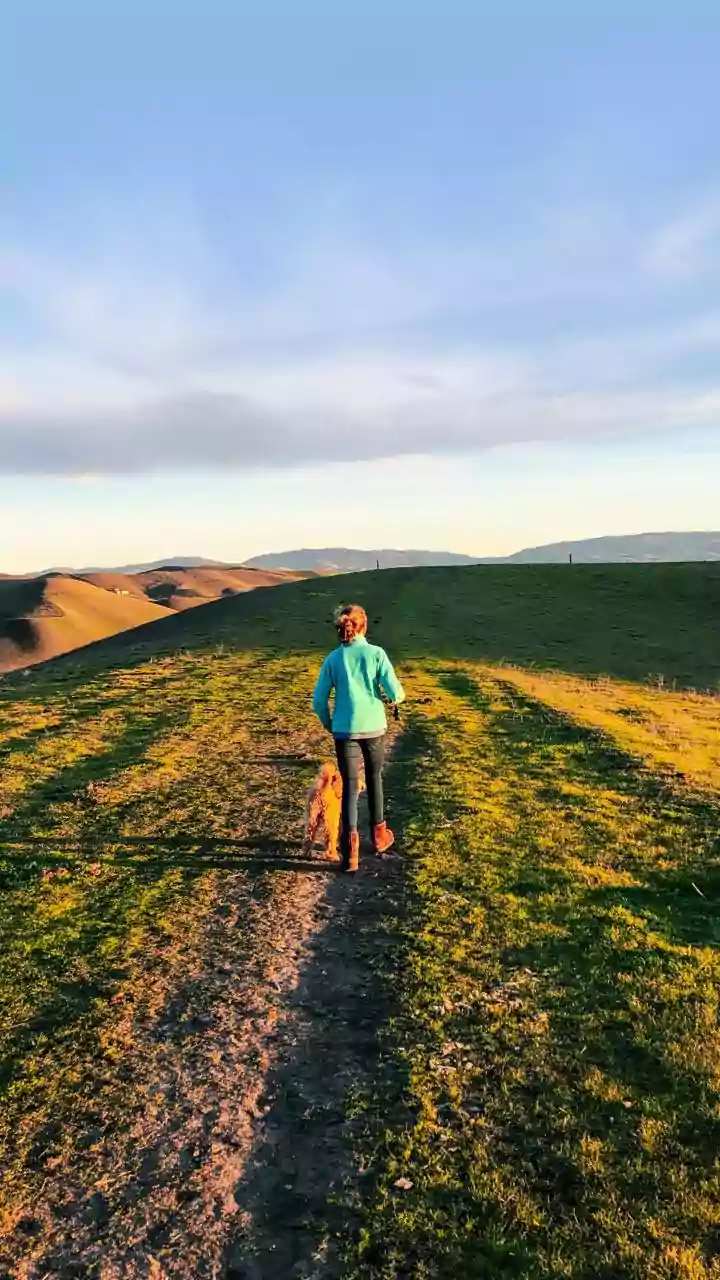 Taking 15-Minute Post-Meal Walks Helps Lower Blood Sugar And Relieve Muscle Soreness