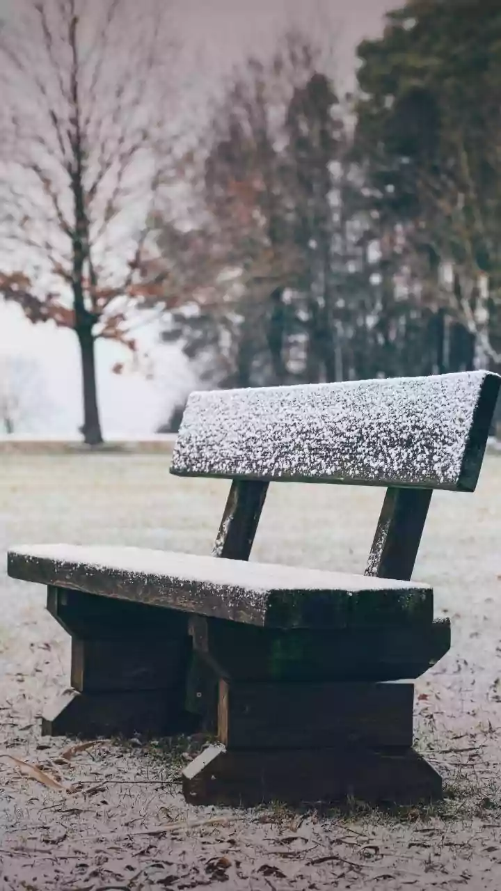 Madhya Pradesh January 13, 2026, Weather Update: Cold Mornings Continue, Day Temperature Rises Slightly In Bhopal, Indore, Gwalior & More