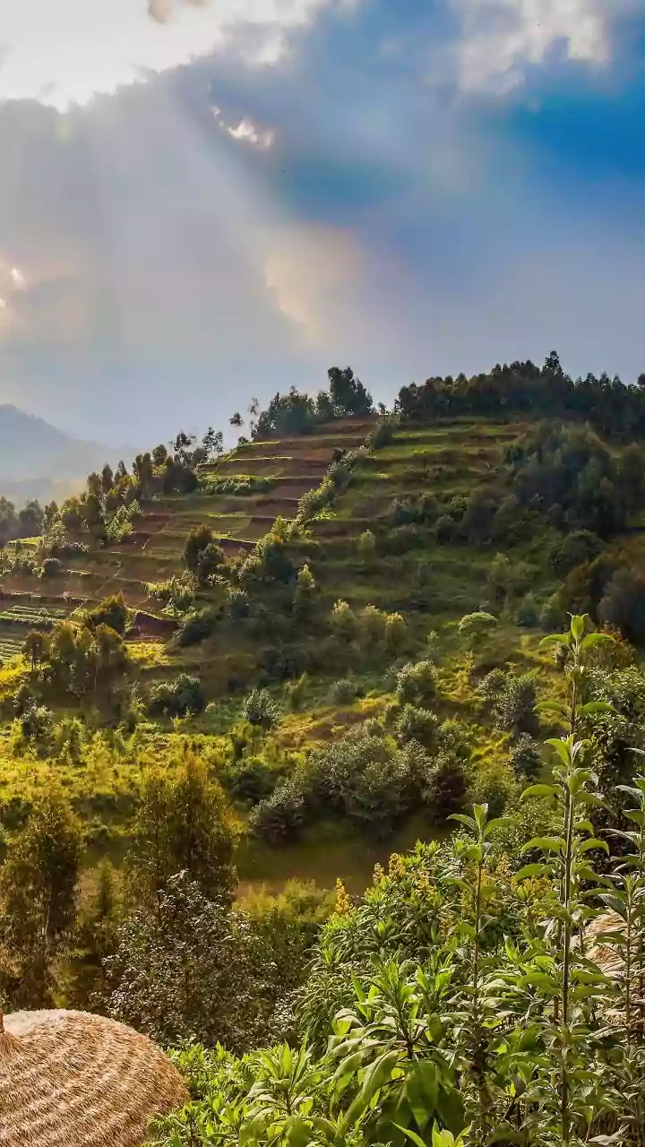 NABARD and IMD Collaborate to Enhance Climate-Resilient Agriculture