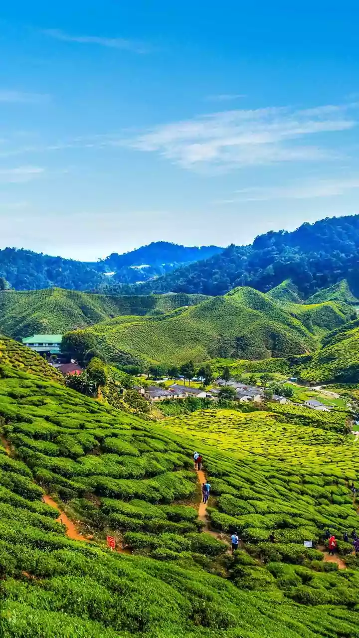 Why Indian Travelers Love Exploring Georgia Using Easy E Visas And Wallet Stays