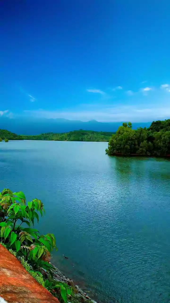Kumarakom Homestays Provide Cheaper Quieter Backwater Options Than Alleppey Houseboats