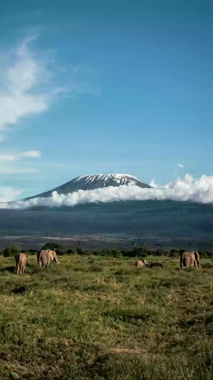 Conquer Mount Kilimanjaro Unicycling: An Ultimate Guide to This Extreme Adventure