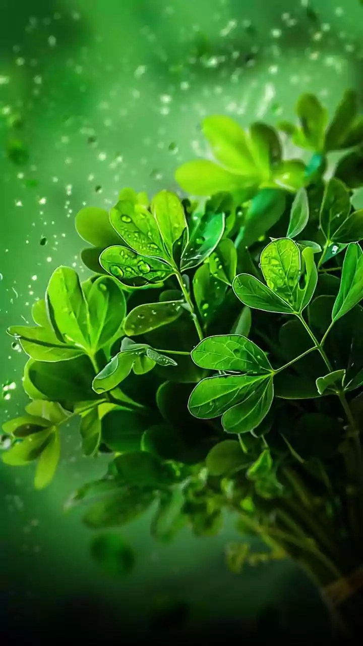 Capture India's Green Season: Monsoon Photography Ideas For Weekend Travellers