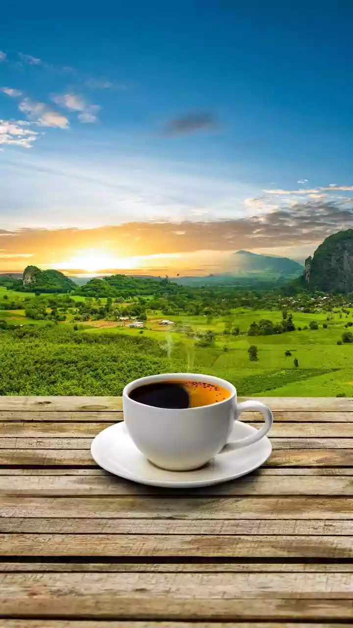 Why Araku Valley single-origin Arabica coffee represents a successful model for sustainable specialty agriculture