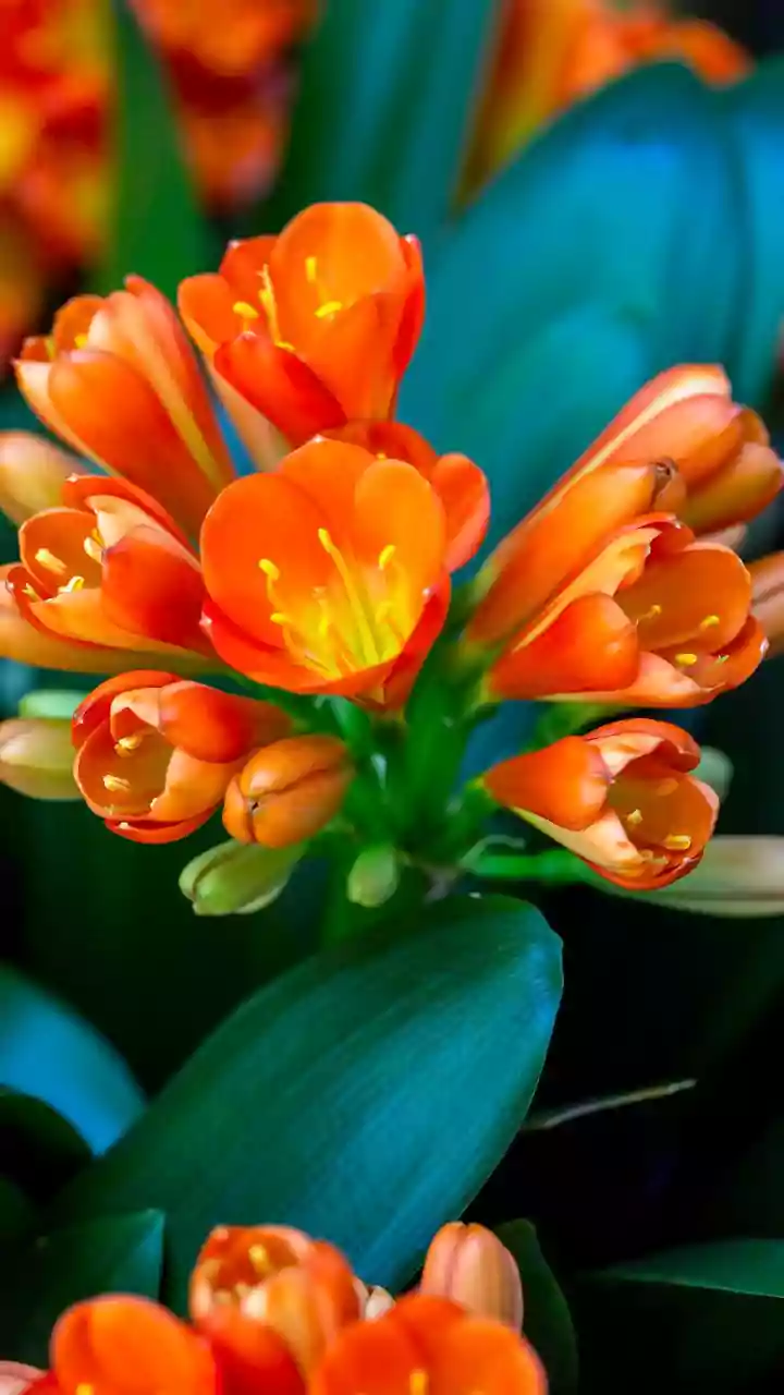 Friday winter vibe — tap to check today’s feel.